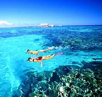Great Barrier Reef Islands - Accommodation Gold Coast