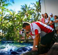 The Living Reef on Daydream Island