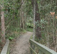 Springwood Conservation Park - Accommodation Gold Coast