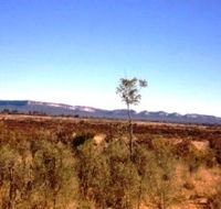 Tambos Wilderness Way - Accommodation Gold Coast