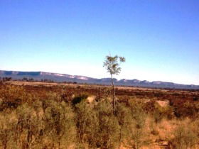 Tambos Wilderness Way - 1 Gold Coast 0