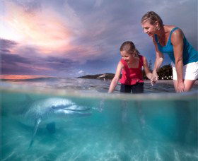 Tangalooma Island Resort - Accommodation Gold Coast 0