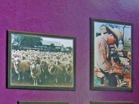Charleville Photographic Display - 1 Gold Coast 0