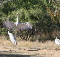 Bulloo River Walk - Gold Coast 4U