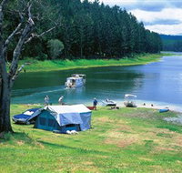 Danbulla National Park and Danbulla State Forest - 1 Gold Coast