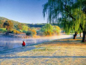 Quart Pot Creek - Accommodation Gold Coast 0