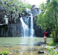 Conway National Park - Accommodation Gold Coast