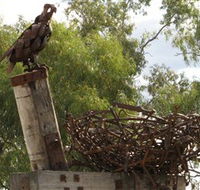 Blackall Sculpture Trail - Accommodation Gold Coast