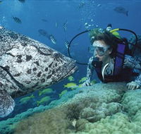 Pelorus Island - Accommodation Gold Coast