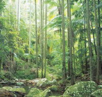 Python Rock - Accommodation Gold Coast