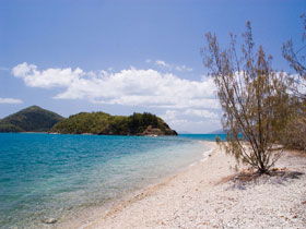 Paddle Bay Track And Campsite - Accommodation Gold Coast 0