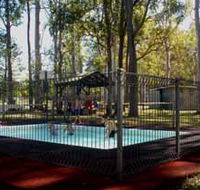 Teddington Weir and Picnic Reserve - Accommodation Gold Coast