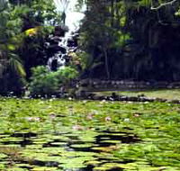 Queens Park Waterfall - Accommodation Gold Coast
