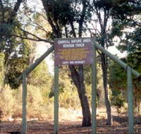 Carroll Nature Reserve Kokoda Track - Accommodation Gold Coast