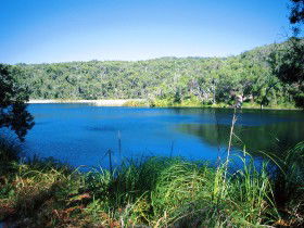 Karboora Track - Accommodation Gold Coast 0