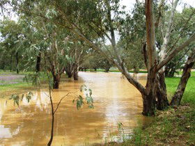 Saddliers Waterhole And Hamburg Creek - Accommodation Gold Coast 0