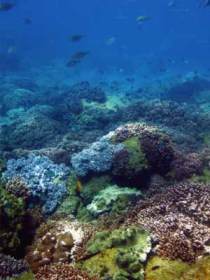 Bargara QLD 1 Gold Coast