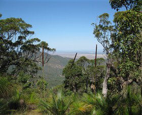 Zamia Walk - Accommodation Gold Coast 0