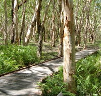 The Kommo Toera Trail - Accommodation Gold Coast