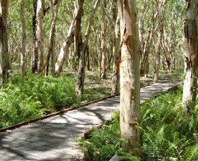The Kommo Toera Trail - Accommodation Gold Coast 0