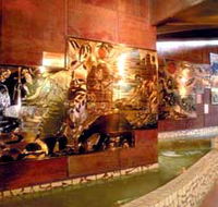 Riversleigh Fossil Centre - Accommodation Gold Coast