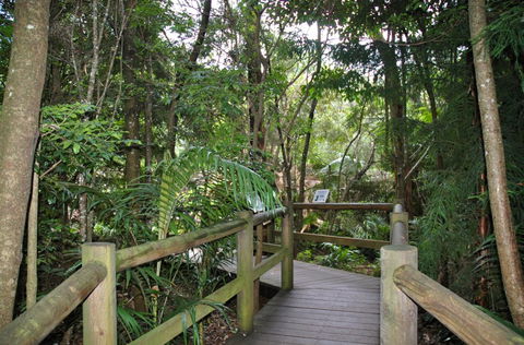 Cedar Creek Estate - Accommodation Gold Coast 1