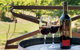 Wild Cattle Creek Estate Winery Restaurant - thumb 4