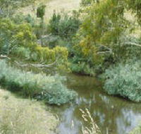 Yarrambat Park - Accommodation Gold Coast