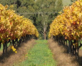 Wild Dog Winery & Restaurant - 1 Gold Coast 0