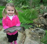 Wild Food Farm  Cafe - Accommodation Gold Coast
