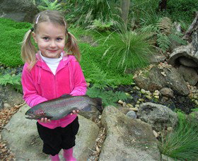 Wild Food Farm & Cafe - Accommodation Gold Coast 0