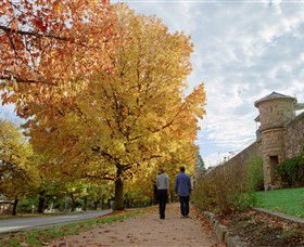 Indigo Gold Trail - 1 Gold Coast 0