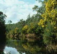 Warrandyte State Park - Accommodation Gold Coast