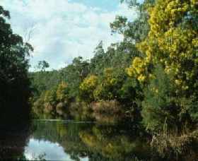 Warrandyte State Park - Accommodation Gold Coast 0
