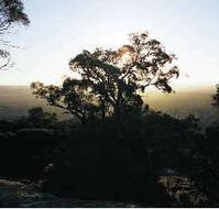 Yarra Flats - Accommodation Gold Coast