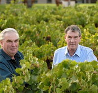 Campbells Wines - Accommodation Gold Coast