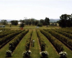 Rochford Wines - Accommodation Gold Coast 0