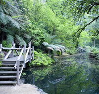 Alfred Nicholas Gardens - Accommodation Gold Coast