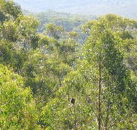 Bunyip State Park - Accommodation Gold Coast