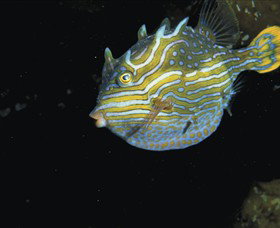  Accommodation Gold Coast