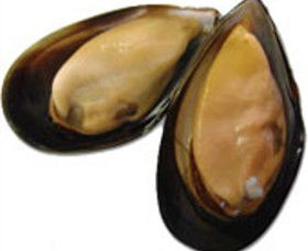 Sea Bounty - Accommodation Gold Coast 0