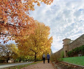 Beechworth Historic Park - Gold Coast 4U 0