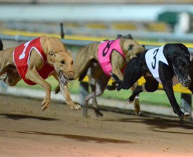 The Beckley Centre - Accommodation Gold Coast 0