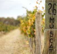 Stanton and Killeen Wines - Accommodation Gold Coast
