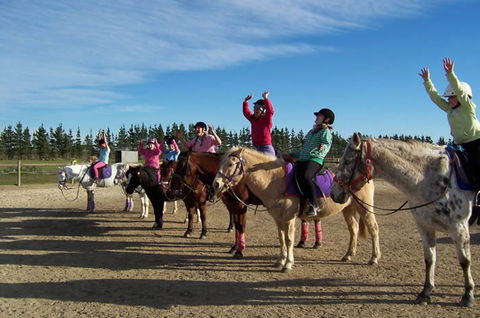 Saddle On Riding School - Accommodation Gold Coast 3