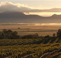 Montara Wines - Accommodation Gold Coast