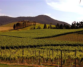 Soumah Of Yarra Valley - 1 Gold Coast 0