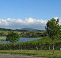 Yarrawood Estate - Accommodation Gold Coast