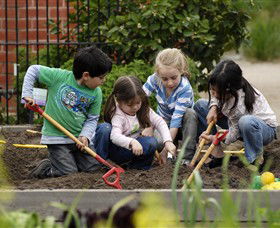 The Ian Potter Foundation Children's Garden - Gold Coast 4U 0