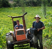 Kellybrook Winery  Kelly Brothers Cider - Accommodation Gold Coast